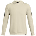 Under Armour Mens Playoff Hoodie