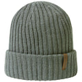 A knitted green beanie hat sits upright showcasing vertical ribbing and a folded brim with a leather tag on the side indicating its brand or style