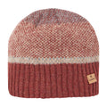 A knitted beanie displays a blend of earthy colors with a striped pattern and a ribbed bottom. It features a small logo tag stitched on the side.