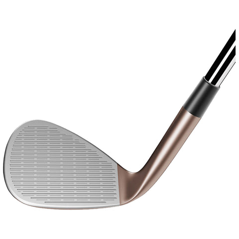 A golf club's head rests at an angle showcasing a silver clubface with textured grooves and a bronze shaft connected to a black grip in a neutral background.