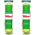 Wilson Starter Green Tennis Balls