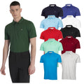 A male model wearing a green polo shirt stands beside a display of various colored polo shirts including red blue white and black showcasing different styles in a retail context.