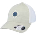 A light gray cap with a blue clover logo on a diamond patch features a white mesh back and a sticker label reading "FLEXFIT 110 ONE TEN" on the brim