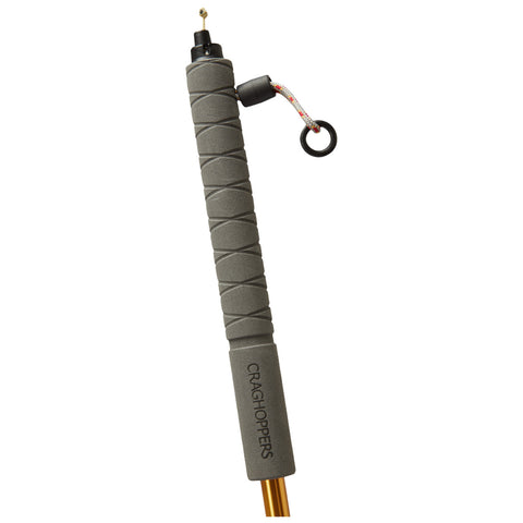 A gray trekking pole with a textured grip features a gold tip and a hanging loop at the top for carrying or securing. It is designed for outdoor use.