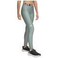 Under Armour Ladies HeatGear Leggings